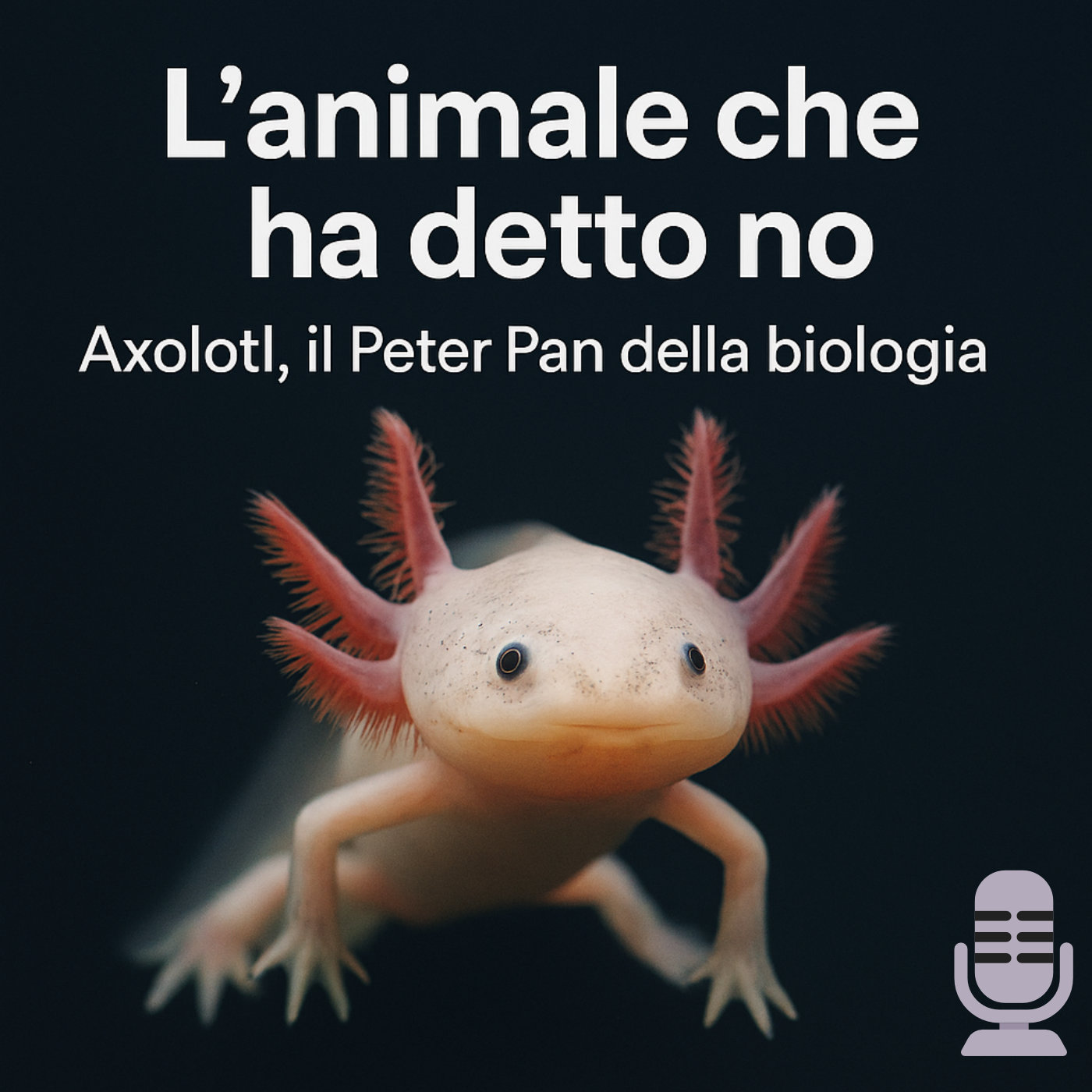 axolotl.